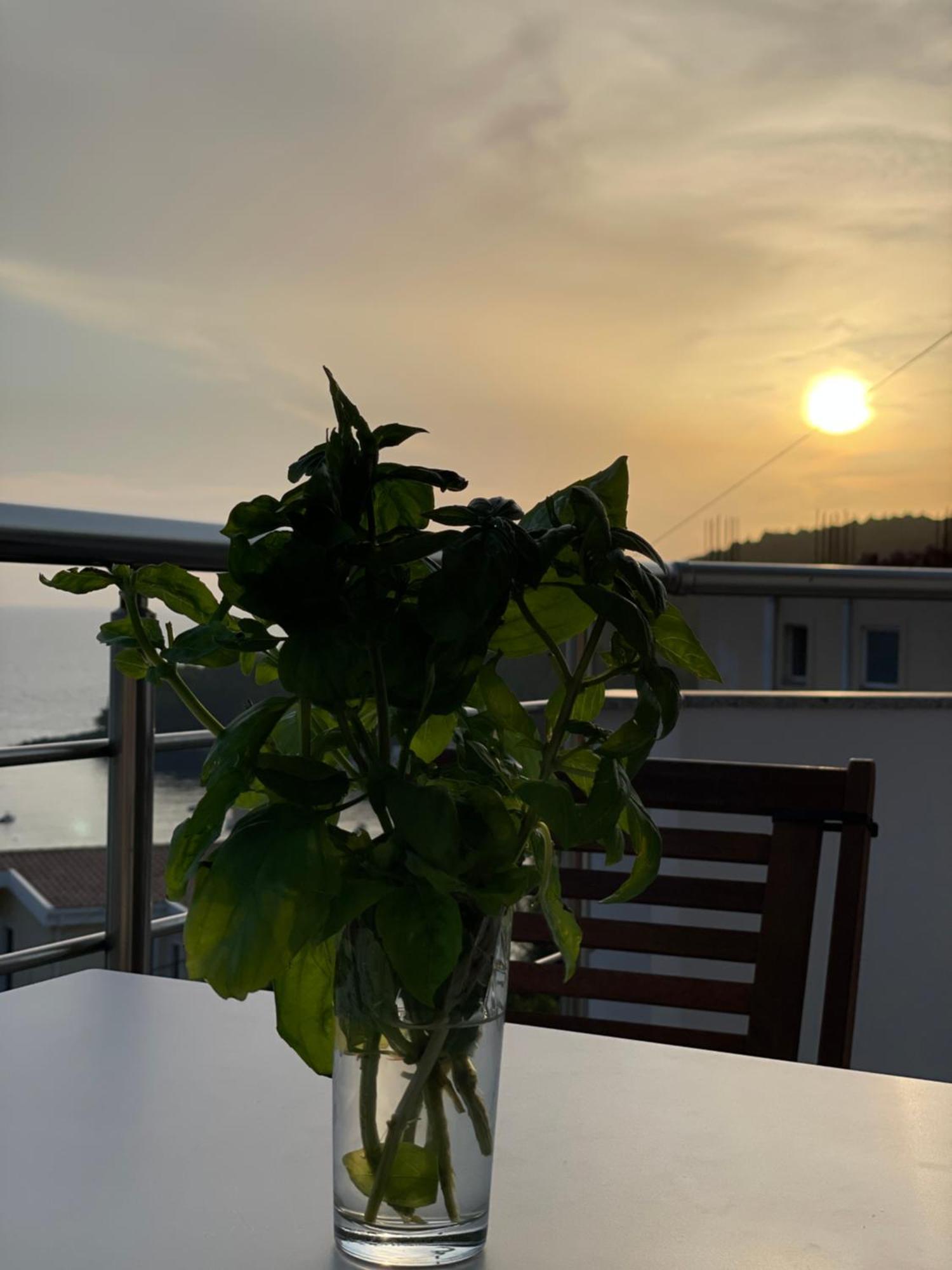 Tasos Rooms Himarë Eksteriør billede